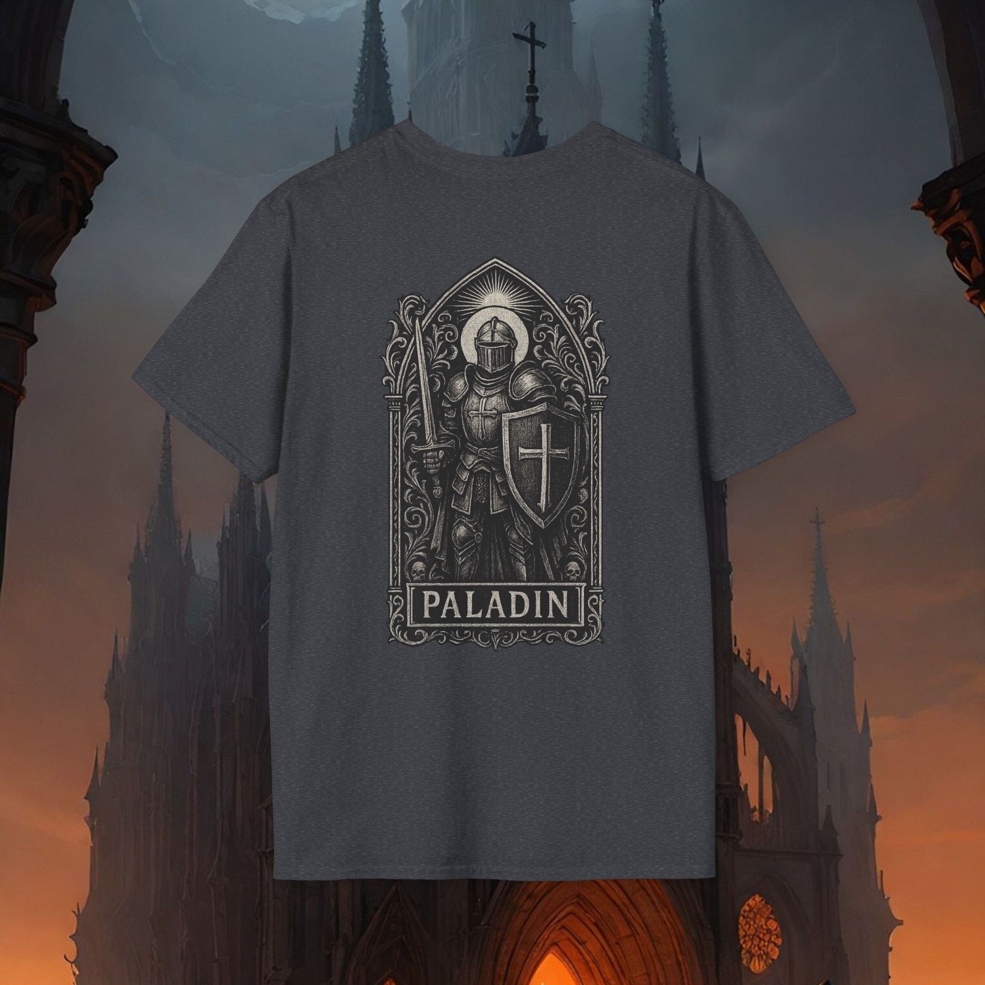 Dark class: Palladin