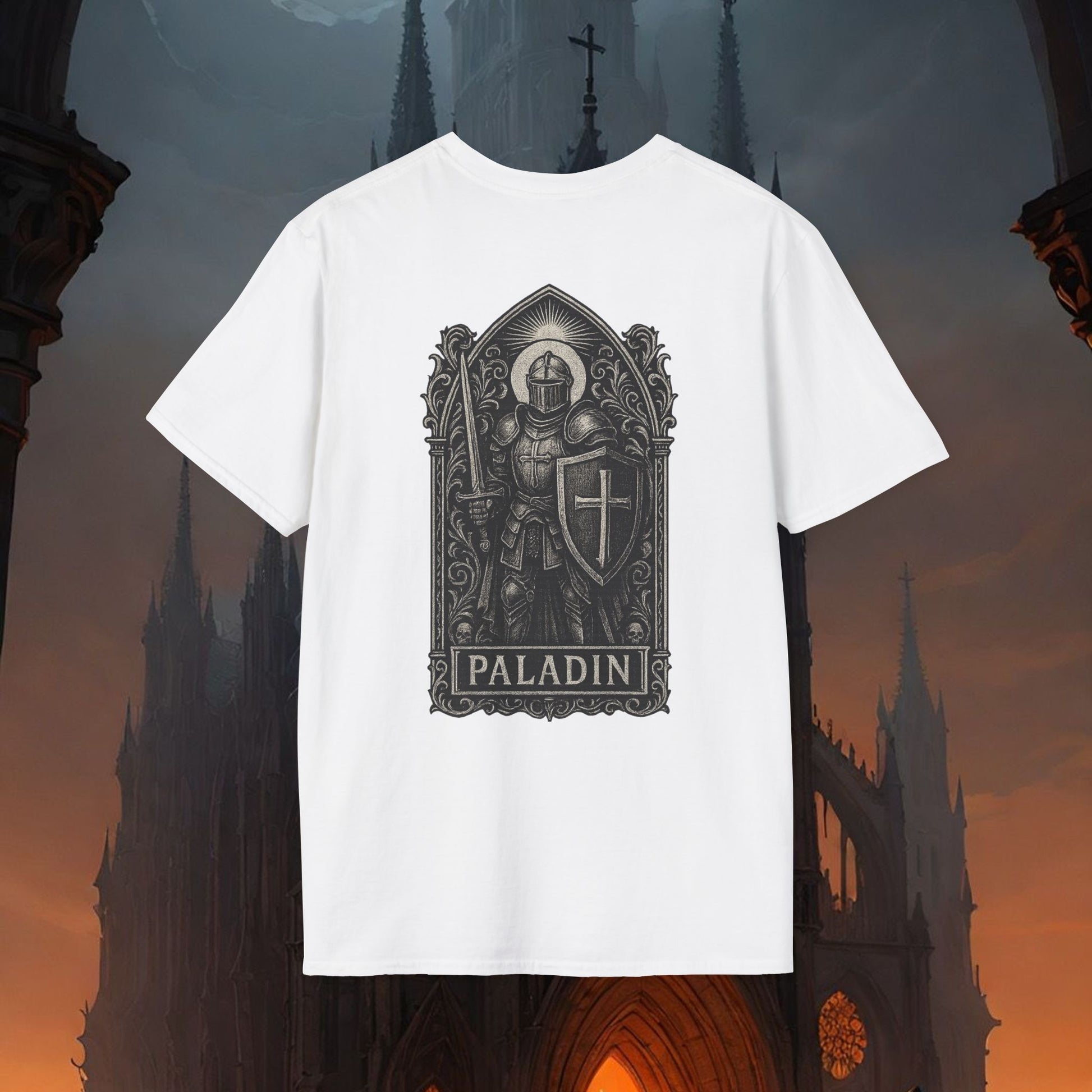 Dark class: Palladin