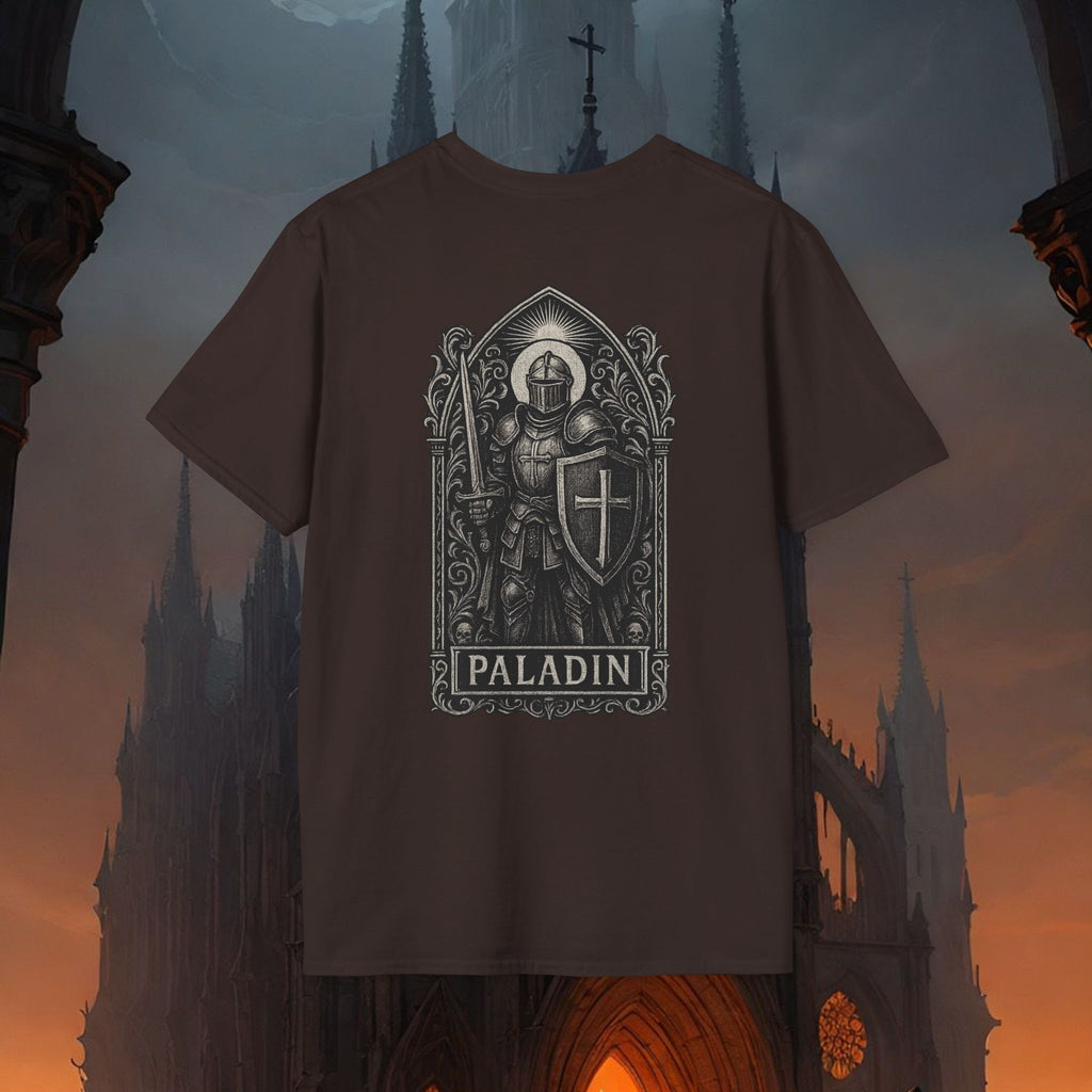 Dark class: Palladin